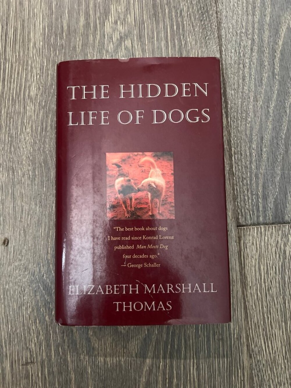 The hidden life of dogs book,